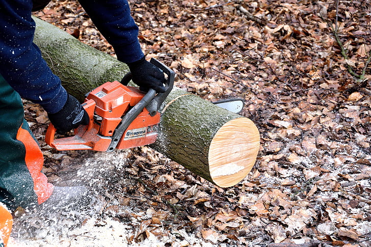 man cutting a tree using chainsaw