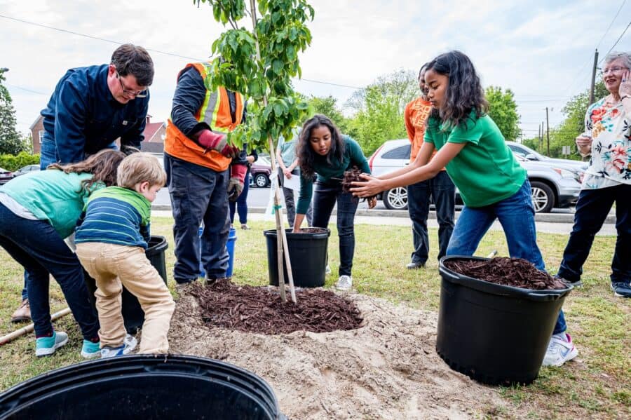 tree preservation plan